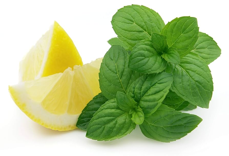 Lemon Mint