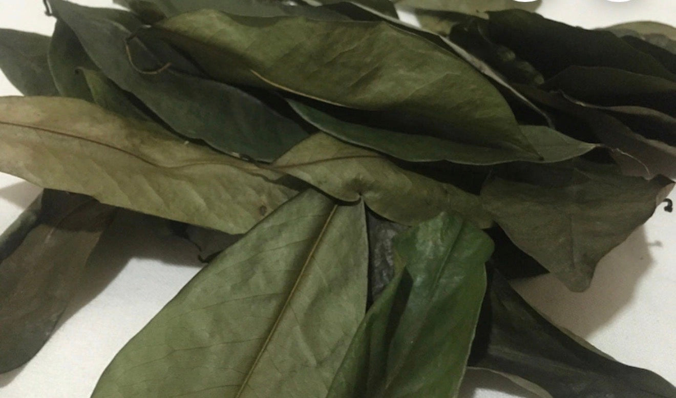 Soursop Leaves