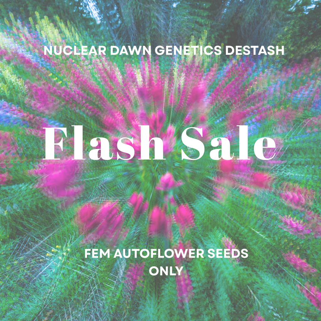 Nuclear Dawn Genetics Seeds