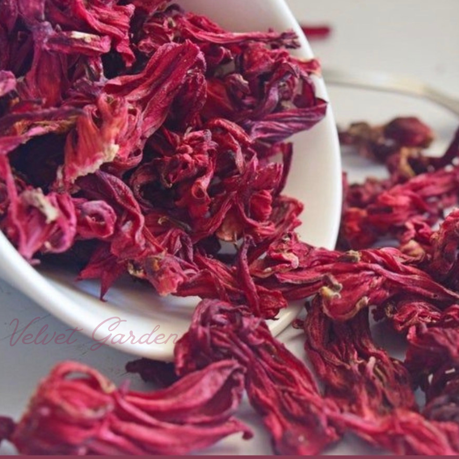 Hibiscus Flowers (Loose)