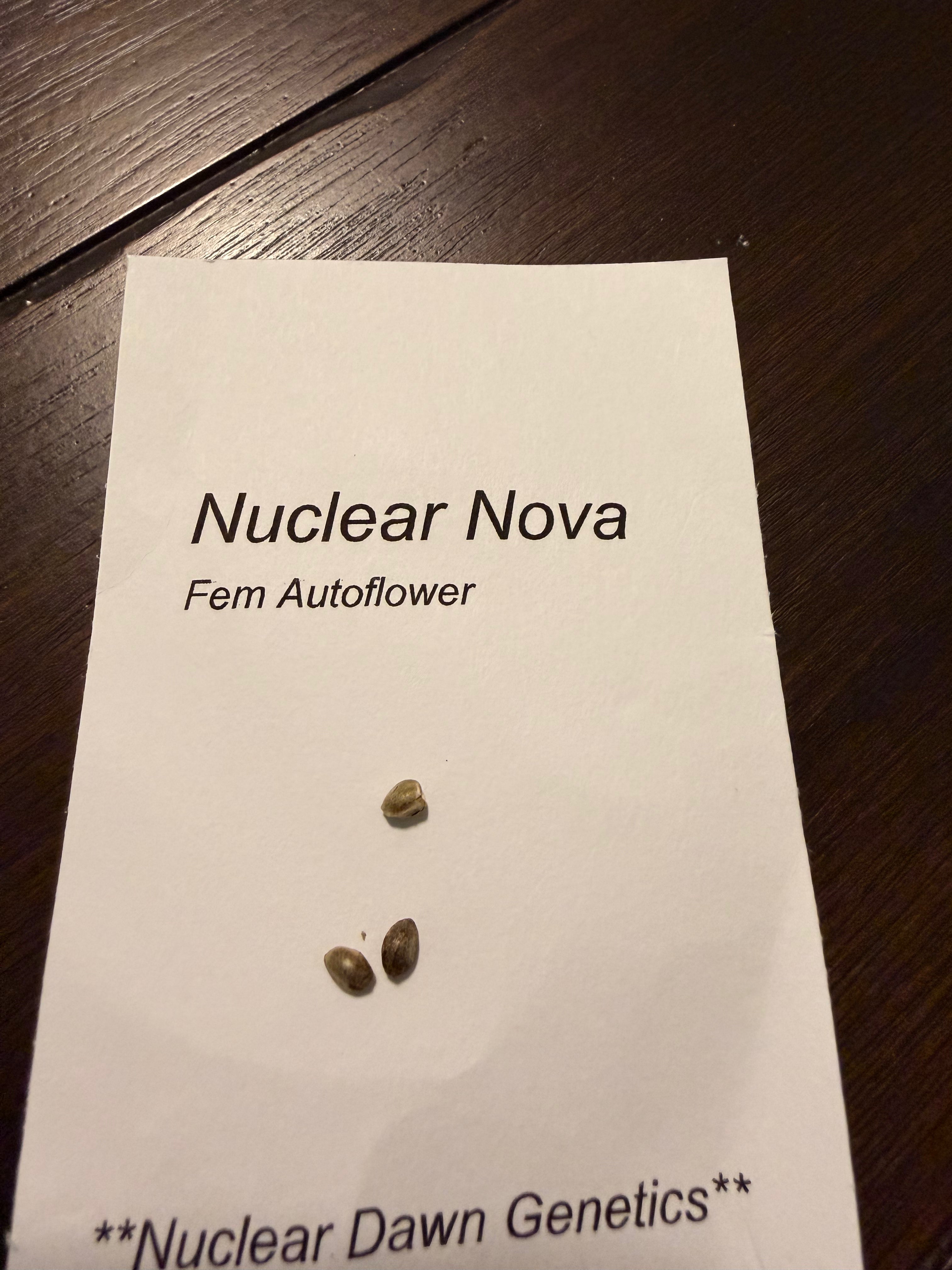 Nuclear Dawn Genetics Seeds