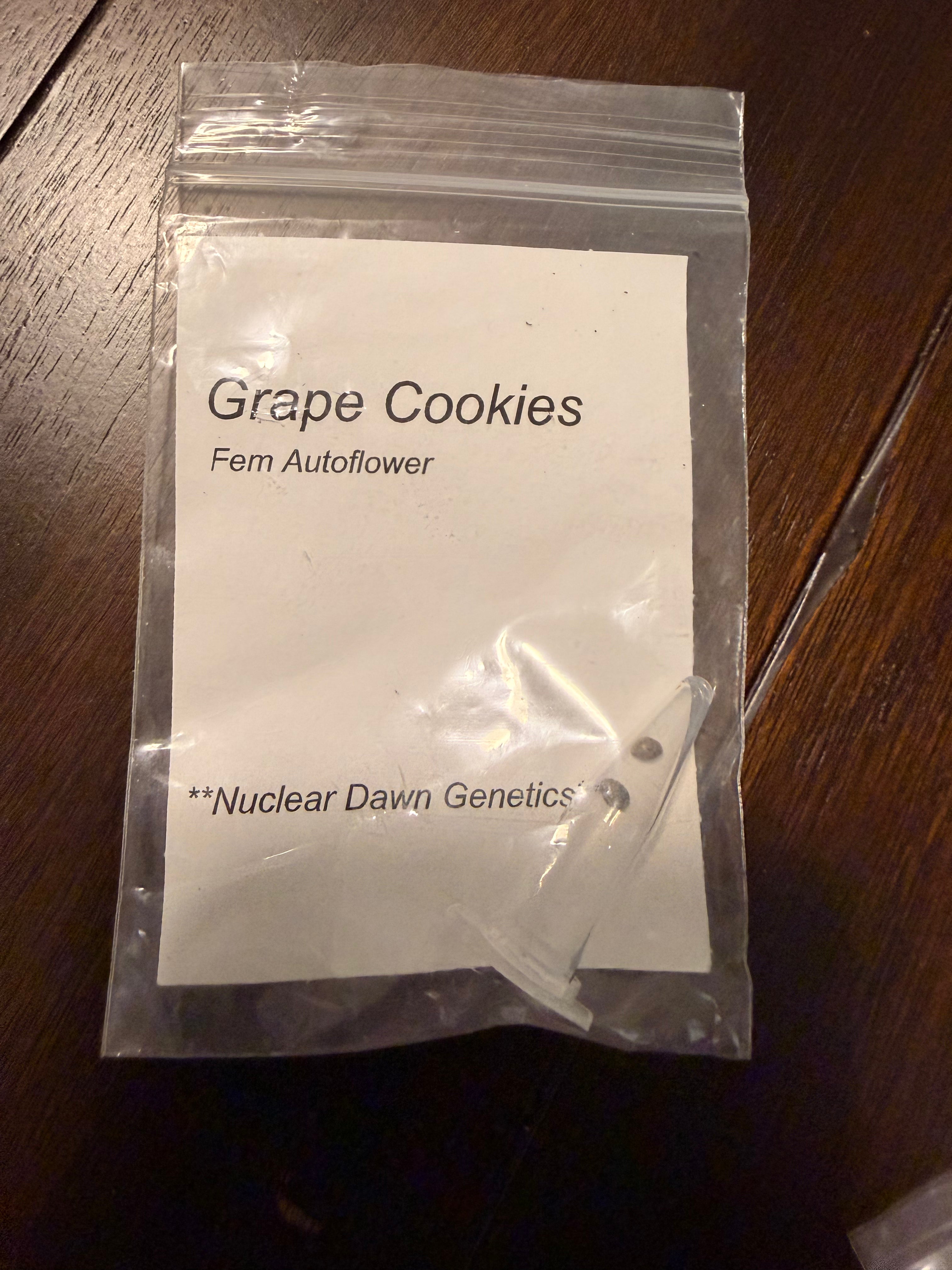 Nuclear Dawn Genetics Seeds