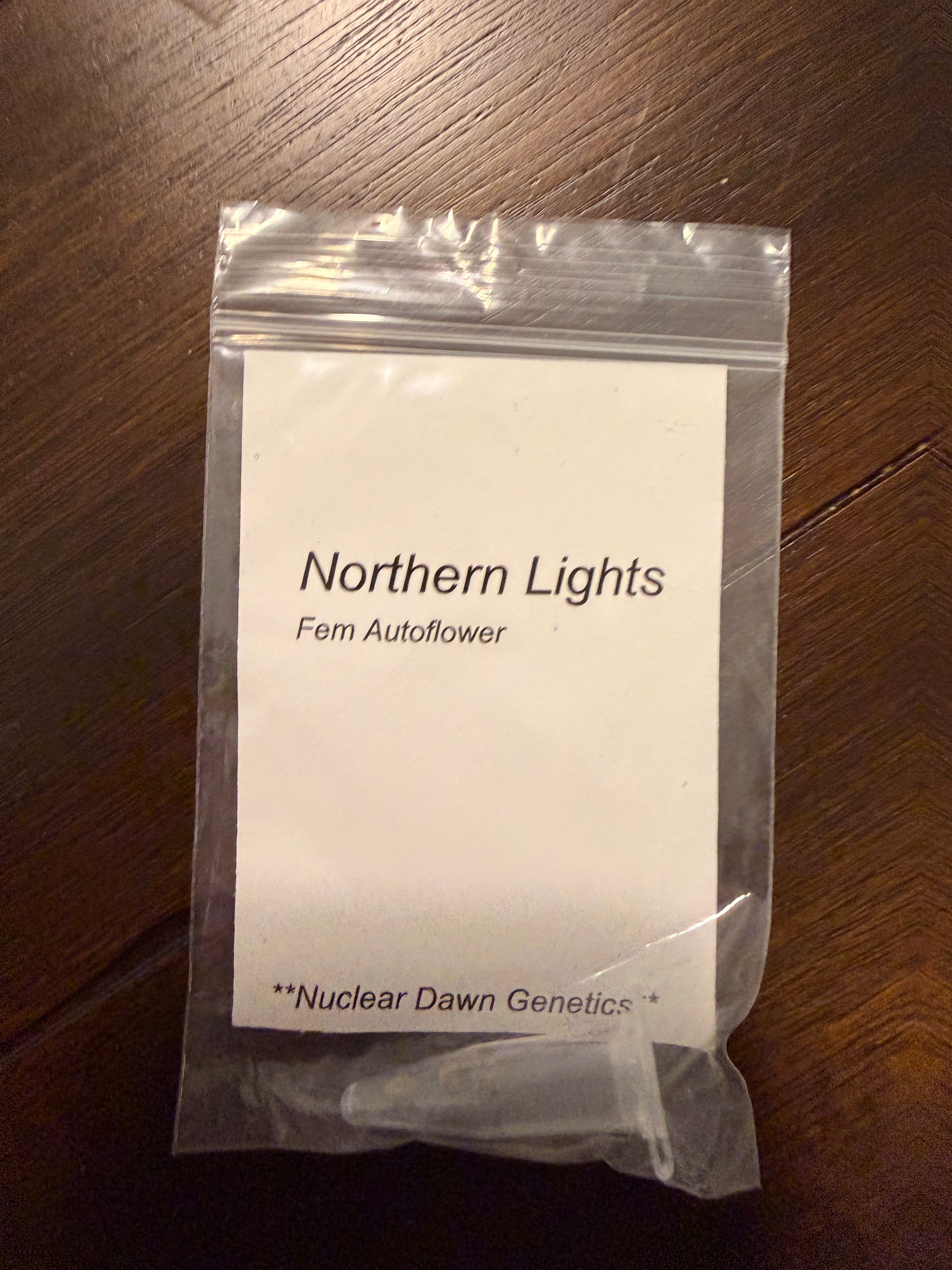 Nuclear Dawn Genetics Seeds